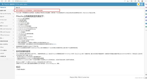 搭建網(wǎng)絡(luò)安全靶場(chǎng)教程, csdn博客